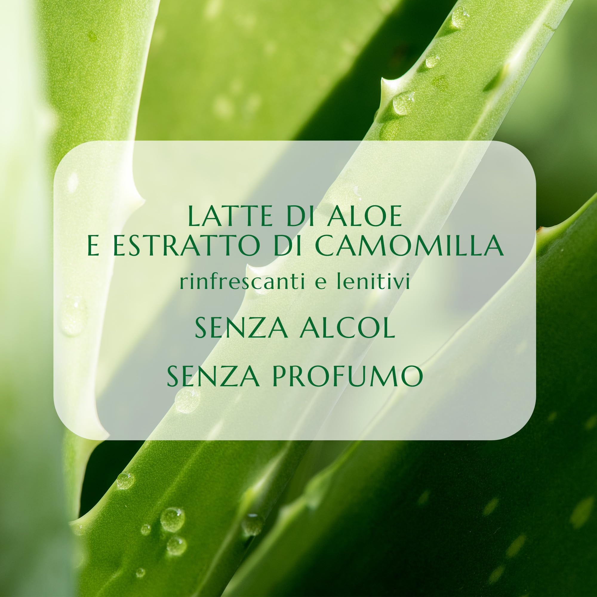 collistar-deodorante-multi-attivo-pelli-ipersensibili-24-ore-spray-ecologico-sen image 5