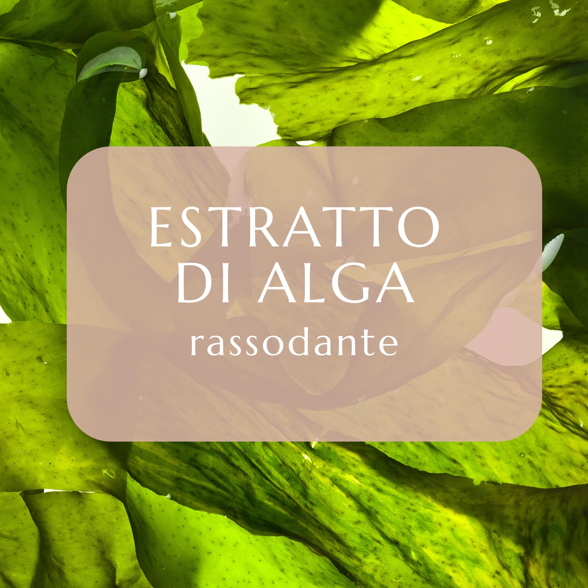 collistar-talasso-doccia-rassodante-elasticizzante-oleo-gel-nocciola-e-melograno image 3